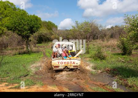 Antsalova, Madagascar - 7 novembre 2022: Gruppo di persone sul retro di un'auto che guida attraverso una strada fangosa della foresta in un pick-up bianco. M standard Foto Stock