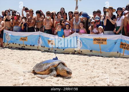 220607 -- HADERA, 7 giugno 2022 -- Una tartaruga di mare viene rilasciata in mare dal Centro di salvataggio delle tartarughe marine israeliane in una spiaggia vicino alla città israeliana settentrionale di Hadera il 6 giugno 2022. L'Israel Sea Turtle Rescue Center è stato fondato nel 1999 dall'Israel Nature and Parks Authority con l'obiettivo di riabilitare le tartarughe marine ferite e riportarle in natura dopo il loro recupero. Sin dalla sua fondazione, il centro ha curato più di 700 persone e circa il 70% di esse è stato rilasciato in mare aperto. ISRAELE-HADERA-SEA TURTLE RESCUE CENTER WANGXZHUOLUN PUBLICATIONXNOTXINX Foto Stock