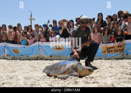 220607 -- HADERA, 7 giugno 2022 -- Una tartaruga di mare viene rilasciata in mare dal Centro di salvataggio delle tartarughe marine israeliane in una spiaggia vicino alla città israeliana settentrionale di Hadera il 6 giugno 2022. L'Israel Sea Turtle Rescue Center è stato fondato nel 1999 dall'Israel Nature and Parks Authority con l'obiettivo di riabilitare le tartarughe marine ferite e riportarle in natura dopo il loro recupero. Sin dalla sua fondazione, il centro ha curato più di 700 persone e circa il 70% di esse è stato rilasciato in mare aperto. CENTRO DI SALVATAGGIO DELLE TARTARUGHE ISRAELE-HADERA-SEA SHANGXHAO PUBLICATIONXNOTXINXCHN Foto Stock