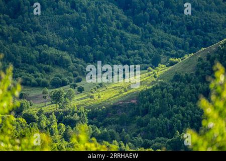 220623 -- HINGGAN LEAGUE, 23 giugno 2022 -- foto scattata il 23 giugno 2022 mostra lo scenario in Arxan della Hinggan League, nella regione autonoma della Mongolia interna della Cina settentrionale. CHINA-INNER MONGOLIA-HINGGAN LEAGUE-SCENARIO CN WANGXZECONG PUBLICATIONXNOTXINXCHN Foto Stock