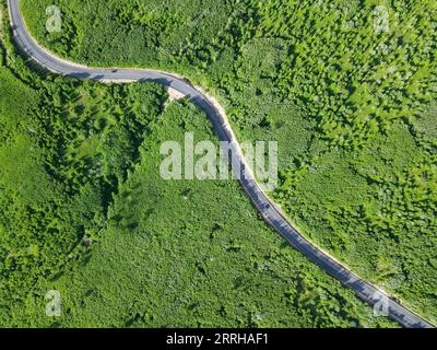 220623 -- HINGGAN LEAGUE, 23 giugno 2022 -- foto aerea scattata il 23 giugno 2022 mostra il paesaggio in Arxan della Hinggan League, nella regione autonoma della Mongolia interna della Cina settentrionale. CHINA-INNER MONGOLIA-HINGGAN LEAGUE-SCENARIO CN WANGXZECONG PUBLICATIONXNOTXINXCHN Foto Stock
