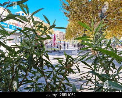 Le Lavandou, Francia - 17 ottobre 2021: Persone che camminano e giocano nel centro della città. La città, situata nella regione del Var, è vicina all'isl di Hyeres Foto Stock