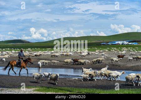 220626 -- HULUN BUIR, 26 giugno 2022 -- Un allevatore pascola bovini e pecore nei pascoli estivi a Xin Barag Zuoqi della città di Hulun Buir, regione autonoma della Mongolia interna della Cina settentrionale, 26 giugno 2022. CINA-INTERNA MONGOLIA-HULUN BUIR-PASCOLO ESTIVO CN WANGXZECONG PUBLICATIONXNOTXINXCHN Foto Stock