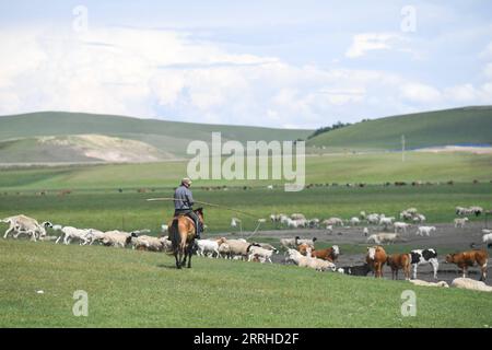 220626 -- HULUN BUIR, 26 giugno 2022 -- Un allevatore pascola bovini e pecore nei pascoli estivi a Xin Barag Zuoqi della città di Hulun Buir, regione autonoma della Mongolia interna della Cina settentrionale, 26 giugno 2022. CINA-INTERNA MONGOLIA-HULUN BUIR-PASCOLO ESTIVO CN BEIXHE PUBLICATIONXNOTXINXCHN Foto Stock