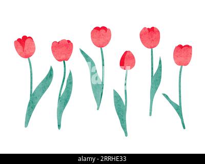 Set di tulipani ad acquerello. Illustrazione vettoriale. Illustrazione Vettoriale