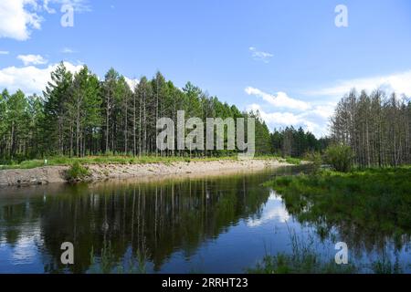 220707 -- HULUN BUIR, 7 luglio 2022 -- foto scattata il 7 luglio 2022 mostra lo scenario di un parco nazionale paludoso a Genhe, Hulun Buir, regione autonoma della Mongolia interna della Cina settentrionale. CHINA-INNER MONGOLIA-HULUN BUIR-WETLAND PARK CN BEIXHE PUBLICATIONXNOTXINXCHN Foto Stock