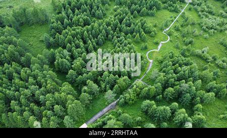 220707 -- HULUN BUIR, 7 luglio 2022 -- foto aerea scattata il 7 luglio 2022 mostra lo scenario di un parco nazionale paludoso a Genhe, Hulun Buir, nella regione autonoma della Mongolia interna della Cina settentrionale. CHINA-INNER MONGOLIA-HULUN BUIR-WETLAND PARK CN BEIXHE PUBLICATIONXNOTXINXCHN Foto Stock