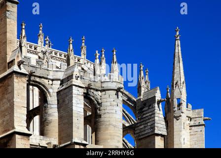 Palazzo degli Arcivescovi, St Just e Cattedrale di St-Pasteur. Piazza del Municipio. Narbonne, Occitanie, Francia Foto Stock