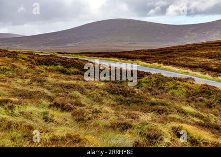 Road, Bogs with Mountains in background in Sally GAP, Wicklow, Irlanda Foto Stock