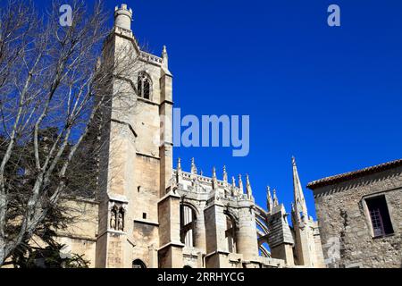 Palazzo degli Arcivescovi, St Just e Cattedrale di St-Pasteur. Piazza del Municipio. Narbonne, Occitanie, Francia Foto Stock