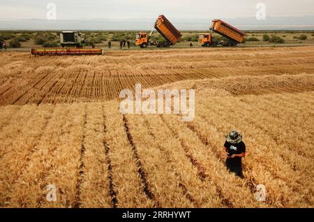 220710 -- URUMQI, 10 luglio 2022 -- foto aerea scattata il 7 luglio 2022 mostra un contadino che controlla il grano in un campo prima della raccolta nella contea di Qitai, prefettura autonoma di Changji Hui, regione autonoma dello Xinjiang Uygur della Cina nord-occidentale. Il raccolto estivo nella regione autonoma di Xinjiang Uygur della Cina nordoccidentale è ora in pieno svolgimento. Nella regione sono state applicate moderne scienze, tecnologie e macchinari agricoli per aiutare gli agricoltori locali ad aumentare la resa e ad ottenere un raccolto eccezionale. CINA-XINJIANG-GESTIONE DEI TERRENI AGRICOLI-APPLICAZIONE DELLA TECNOLOGIA DEL RACCOLTO ESTIVO CN ZHANGXXIAOCHENG PUBLICATIONXNOTXINXCHN Foto Stock