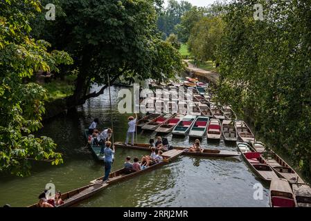 Oxford, Regno Unito, 8 settembre 2023. Gli studenti si divertono a fare un pugno sul fiume Cherwell al Magdalen Bridge, nel centro di Oxford, Regno Unito. Il punting è una tradizione di Oxford apprezzata da gente del posto, studenti e visitatori. Crediti: Martin Anderson/Alamy Live News Foto Stock