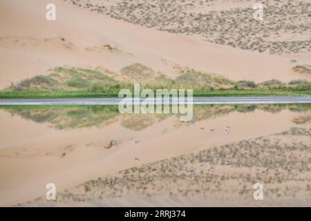 220713 -- BANNER DESTRO ARAXAN, 13 luglio 2022 -- foto scattata il 13 luglio 2022 mostra una vista del deserto di Badain Jaran nella regione autonoma della Mongolia interna della Cina settentrionale. CINA-INTERNA MONGOLIA-ARAXAN-DESERTCN BeixHe PUBLICATIONxNOTxINxCHN Foto Stock