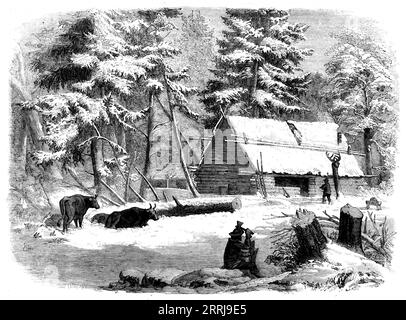 Lumbering in New Brunswick - Lumberman's Camp-House, [Canada], 1858. "L'attività di legname è l'elemento principale della ricchezza della provincia; e le segherie, che si trovano raccolte alle foci di tutti i suoi fiumi, nonché la costruzione di navi, e il business dei trasporti verso la madrepatria, dare lavoro a una gran parte della popolazione... essendo stato selezionato il sito per le operazioni, viene eretto un campeggio e coperto con la corteccia di alberi. Il pavimento della cabina è costituito da piccoli pali, e una sorta di piattaforma è sollevata per il letto generale, che è composto Foto Stock