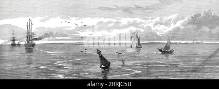 Faro di Saugor, al largo della foce dell'Hoostly, [India], 1876. "L'isola di Saugor, su cui sorge il faro di ferro per guidare le navi che si avvicinano a Calcutta mentre entrano nel fiume Hoostly, si trova sul lato est del canale navigabile più comunemente usato... il faro, eretto su Middleton Point, è stato costruito in Inghilterra, ed è stata collocata dove si trova nel 1853. L'Hoobly, che ha sette canali diversi aperti alle navi che entrano dalla Baia del Bengala, è lungo circa 125 km. È formato dalla confluenza dei fiumi Bhagruttee e Jellinghee, due grandi offset del Gan Foto Stock