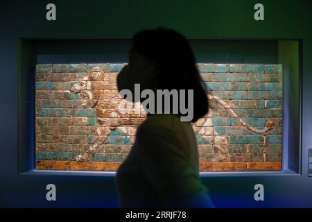 220721 -- SEOUL, 21 luglio 2022 -- Una donna visita la Galleria Mesopotamica del Museo Nazionale della Corea a Seul, Corea del Sud, 21 luglio 2022. Il Museo Nazionale della Corea ha recentemente istituito la Galleria Mesopotamica all'interno della sua sala espositiva permanente e presenta una mostra del patrimonio culturale mesopotamico. La mostra si svolgerà dal 22 luglio 2022 al 28 gennaio 2024. COREA DEL SUD-SEOUL-NATIONAL MUSEUM-MESOPOTAMIA-EXHIBITION WANGXYILIANG PUBLICATIONXNOTXINXCHN Foto Stock