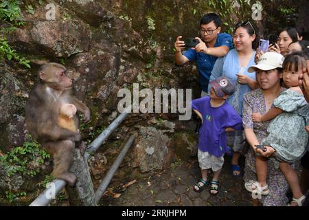 220725 -- WUYISHAN, 25 luglio 2022 -- i turisti scattano foto dei macachi tibetani nel Parco Nazionale di Wuyishan, provincia del Fujian della Cina sud-orientale, 24 luglio 2022. Il numero di macachi tibetani selvatici è in aumento nel parco, grazie a una maggiore protezione ecologica e alla crescente consapevolezza della protezione ambientale. MACACHI CHINA-FUJIAN-WUYISHAN-TIBETANI CN JIANGXKEHONG PUBLICATIONXNOTXINXCHN Foto Stock