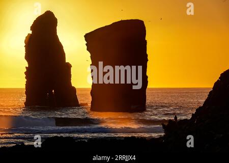 Imponenti pile di mare, impreziosite dal tramonto su Ponta dos Mosteiros a Sao Miguel, Azzorre, Portogallo. Foto Stock