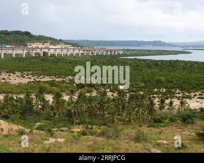 220802 -- NAIROBI, 2 agosto 2022 -- Un treno merci corre sul binario della ferrovia Mombasa-Nairobi bypassando le mangrovie a Mombasa, in Kenya, il 27 luglio 2022. La Mombasa-Nairobi Standard Gauge Railway SGR di costruzione cinese ha appena celebrato il suo quinto anniversario di funzionamento sicuro. La ferrovia Mombasa-Nairobi passa attraverso riserve naturali come il Parco Nazionale di Nairobi e il Parco Nazionale dello Tsavo. Al fine di ridurre l'impatto sull'ambiente, sono state adottate una serie di misure durante la progettazione e la costruzione della ferrovia, ad esempio bypassando le mangrovie, che contribuiscono a mantenere le mangrovie flouri Foto Stock