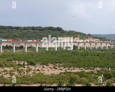 220802 -- NAIROBI, 2 agosto 2022 -- Un treno merci corre sul binario della ferrovia Mombasa-Nairobi bypassando le mangrovie a Mombasa, in Kenya, il 27 luglio 2022. La Mombasa-Nairobi Standard Gauge Railway SGR di costruzione cinese ha appena celebrato il suo quinto anniversario di funzionamento sicuro. La ferrovia Mombasa-Nairobi passa attraverso riserve naturali come il Parco Nazionale di Nairobi e il Parco Nazionale dello Tsavo. Al fine di ridurre l'impatto sull'ambiente, sono state adottate una serie di misure durante la progettazione e la costruzione della ferrovia, ad esempio bypassando le mangrovie, che contribuiscono a mantenere le mangrovie flouri Foto Stock