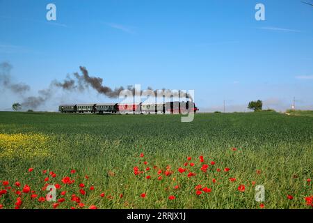 Locomotiva a vapore 75 1118 dal 1921 sulla linea locale Amstetten - Gerstetten vicino a Stubersheim. Traffico ferroviario storico della ferrovia museo della Ulmer Eisenbahnfreunde. La linea ferroviaria si trova sull'Alb svevo. La foto è stata scattata tra Waldhausen vicino a Geislingen e Gussenstadt, Baden-Württemberg, Germania. Foto Stock