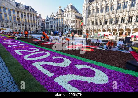 220812 -- BRUXELLES, 12 agosto 2022 -- la gente prepara il tappeto di fiori al Grand Place di Bruxelles, Belgio, 12 agosto 2022. Dopo la cancellazione del Flower Carpet 2020 a causa della pandemia di COVID-19, il festival tradizionale è tornato a Bruxelles dal 12 al 15 agosto 2022. Il tema del tappeto di fiori 2022 è il 50° anniversario del tappeto di fiori di Bruxelles . Gli artisti reinterpretano il disegno del primo tappeto floreale nel 1971, utilizzando circa 140.000 begonie, 225.000 dahlia, corteccia tinta, rotoli di erba, crisantemi ed euonimi. BELGIO-BRUSSELS-FLOWER CARPET ZHENGXHUANSONG PU Foto Stock