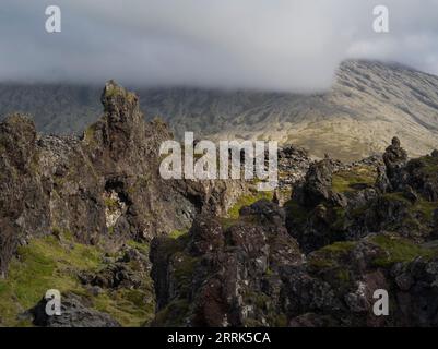 Campi di lava vicino a Djupalonsandur, Islanda Foto Stock