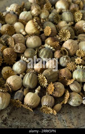 cialde e semi di papavero essiccati in un vecchio recipiente di legno Foto Stock