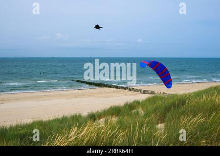 Vlissingen, Zelanda, Paesi Bassi - spiaggia sabbiosa, paesaggio di dune, Mare del Nord, città portuale sulla costa meridionale della penisola di Walcheren nella provincia olandese della Zelanda. Foto Stock
