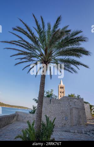 Europa, Croazia, Primorje-Gorski Kotar County, isola di Rab, vista dei campanili della Cattedrale dell'assunzione della Beata Vergine Maria e di una palma nella città vecchia di Rab Foto Stock