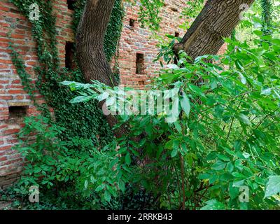 Bastione del castello realizzato con mura di mattoni al castello di Friedberg in Baviera, Foto Stock