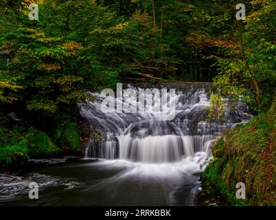 Sul fiume Wesnitz a Liebethaler Grund, Lohmen, Foto Stock