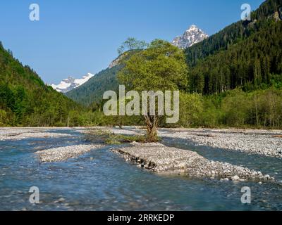 All'Hornbach, nella valle di Hornbach, nel Parco naturale tirolese della valle di Lech. Foto Stock