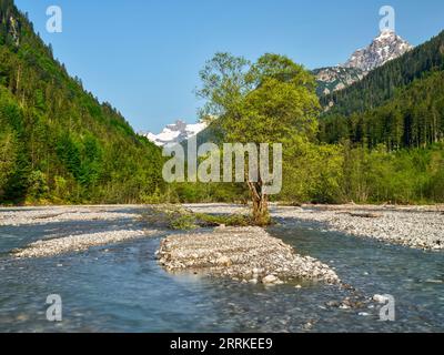 All'Hornbach, nella valle di Hornbach, nel Parco naturale tirolese della valle di Lech. Foto Stock