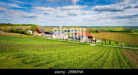 Hofgut Donnersberg nel paesaggio collinare vicino a Vendersheim nel Rheinhessen, la Rheinhessen St Il percorso di pellegrinaggio di James corre qui Foto Stock