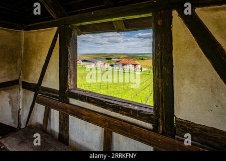 Hofgut Donnersberg nel paesaggio collinare vicino a Vendersheim nel Rheinhessen, qui scorre il sentiero dei pellegrini Rheinhessen, con vista dalla finestra del cottage dei vigneti Foto Stock