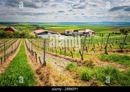 Hofgut Donnersberg nel paesaggio collinare vicino a Vendersheim nel Rheinhessen, la Rheinhessen St Il percorso di pellegrinaggio di James corre qui Foto Stock