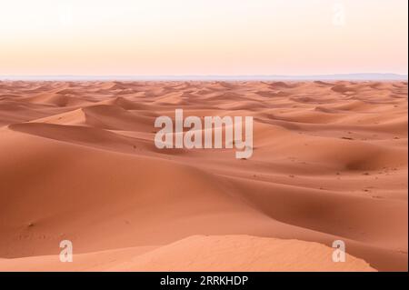 Marocco, Marocco meridionale, Chegagga, Sahara, deserto, alba, sabbia, dune, dune di sabbia Foto Stock