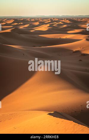 Marocco, Marocco meridionale, Chegagga, Sahara, deserto, alba, sabbia, dune, dune di sabbia Foto Stock