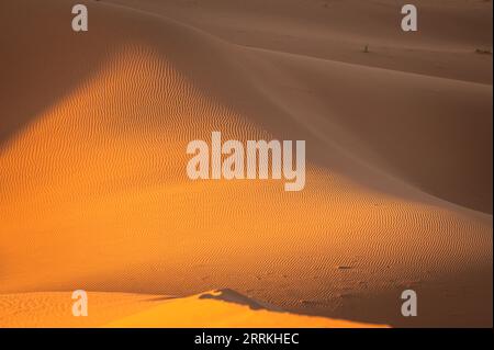 Marocco, Marocco meridionale, Chegagga, Sahara, deserto, alba, sabbia, dune, dune di sabbia Foto Stock