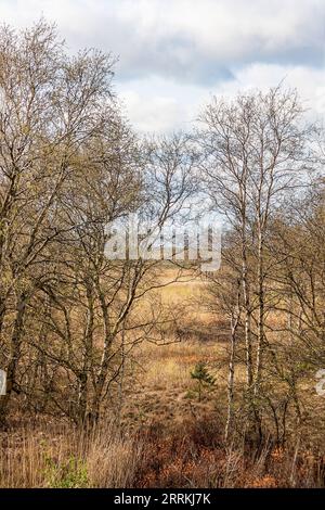 Palude che galleggia durante la marea di tempesta, situata sulla diga esterna della Jade Bay vicino a Sehestedt Foto Stock