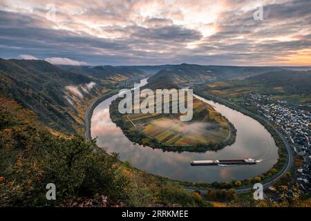 Mattinata tra i vigneti sulla Mosella, alba autunnale da un punto panoramico sopra l'anello della Mosella vicino a Bremm, colori autunnali in Germania Foto Stock