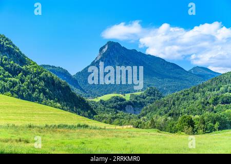 Germania, Baviera, contea di Rosenheim, Kiefersfelden, vista di Pendling vicino a Baumgarten Foto Stock