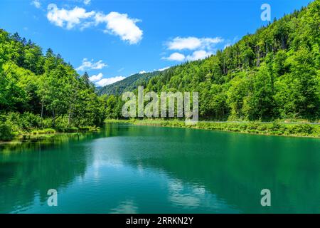 Germania, Baviera, Contea di Rosenheim, Kiefersfelden, Reservoir Gfall Foto Stock