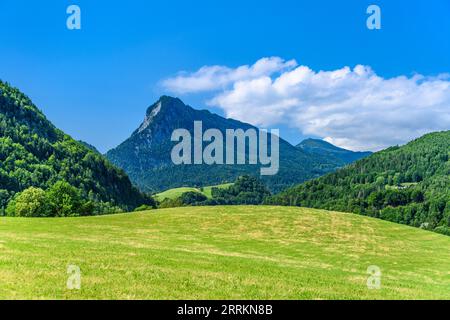 Germania, Baviera, contea di Rosenheim, Kiefersfelden, vista di Pendling vicino a Baumgarten Foto Stock