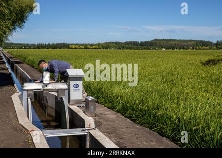 220915 -- HARBIN, 15 settembre 2022 -- Un membro del personale controlla un impianto di scarico e irrigazione in un campo dimostrativo sotto Yanjiagang Farm Co., Ltd. Del Beidahuang Group nella provincia di Heilongjiang nella Cina nordorientale, 20 agosto 2022. Xinhua in primo piano: Come la provincia cinese del paniere garantisce la produzione di grano attraverso le nuove tecnologie ZhangxTao PUBLICATIONxNOTxINxCHN Foto Stock