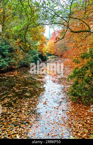 L'autunno arriva in molti colori allo Schlossgarten di Oldenburg, un parco progettato come un arboreto nel mezzo della grande città. La pioggia accentua i colori. Foto Stock
