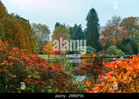 L'autunno arriva in molti colori allo Schlossgarten di Oldenburg, un parco progettato come un arboreto nel mezzo della grande città. La pioggia accentua i colori. Foto Stock