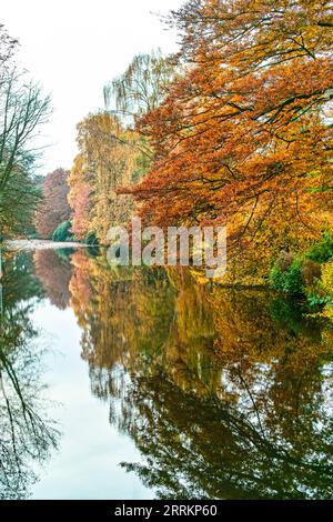L'autunno arriva in molti colori nello Schlossgarten di Oldenburg, un parco progettato come un arboreto nel mezzo della grande città. Foto Stock