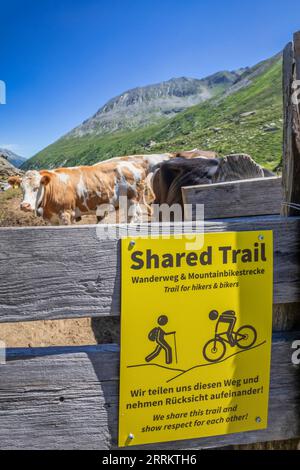 Austria, Tirolo, Zillertal, Finkenberg, un cancello per le mucche al pascolo e un cartello che avverte che si tratta di un percorso condiviso tra escursionisti e biciclette nel Pfitschergründl o Zamsergrund Foto Stock